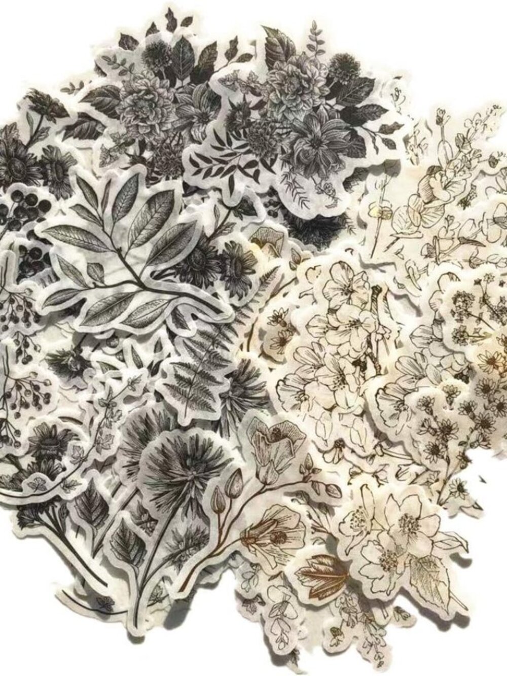 Vintage Zen Botany Flower Washi Sticker Pack, Artsy Natural Black-and-White Plan